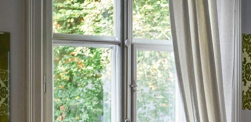 Bright, streak-free window with trees outside